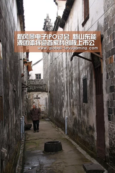 新风景电子IPO过会 新山东能源团体将迎首家科创板上市公司|乐鱼(图2) 乐鱼体育