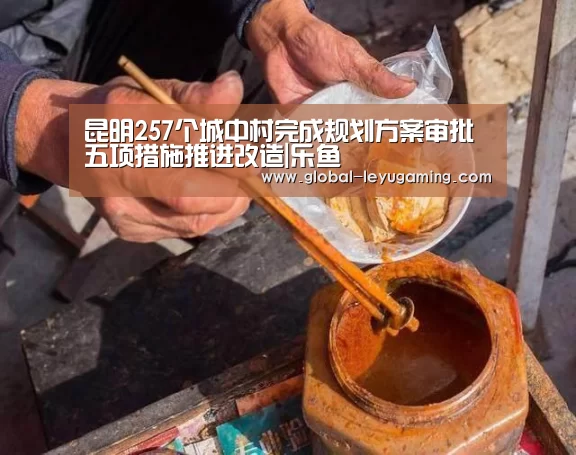 昆明257个城中村完成规划方案审批五项措施推进改造|乐鱼(图3) 昆明257个城中村完成规划方案审批五项措施推进改造|乐鱼(图3)
