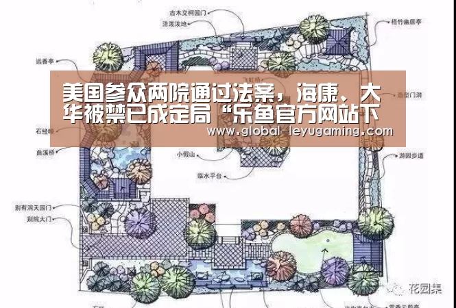 乐鱼