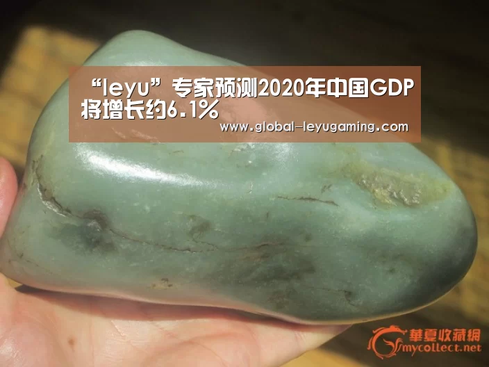 “leyu”专家预测2020年中国GDP将增长约6.1%(图4) 乐鱼