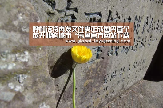 呼和浩特再发文件更正成国内首个放开限购城市“乐鱼官方网站下载”(图2) 乐鱼
