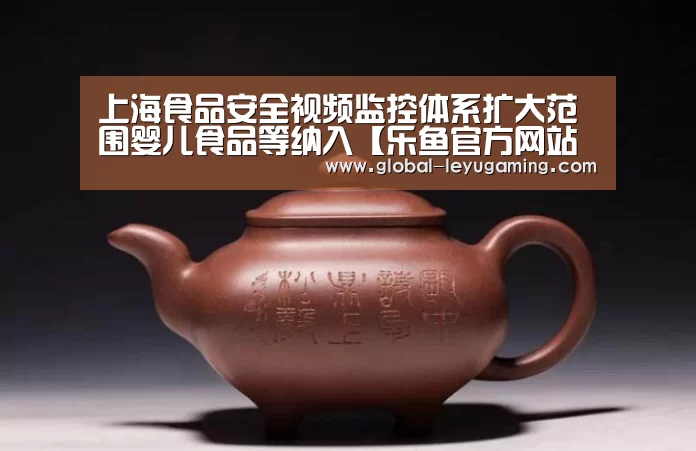 上海食品安全视频监控体系扩大范围婴儿食品等纳入【乐鱼官方网站下载】(图2)