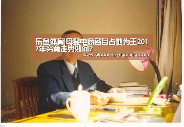 乐鱼体育|母婴电商各自占地为王2017年究竟走势如何?(图1)