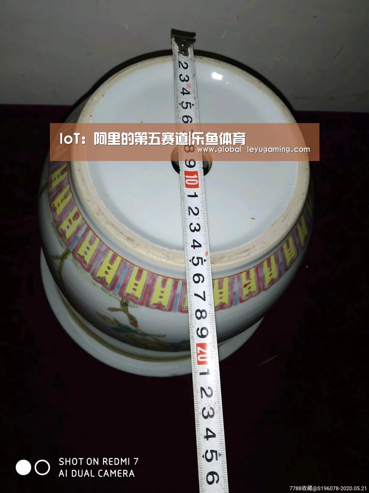 乐鱼