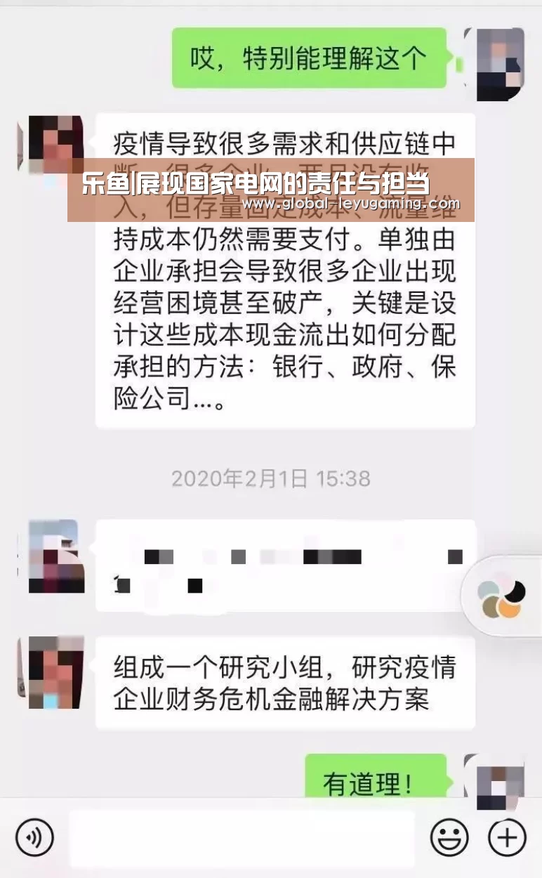 乐鱼|展现国家电网的责任与担当(图2) 乐鱼