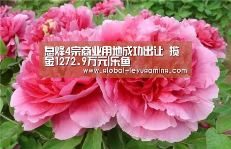 息烽4宗商业用地成功出让 揽金1272.9万元|乐鱼(图1)