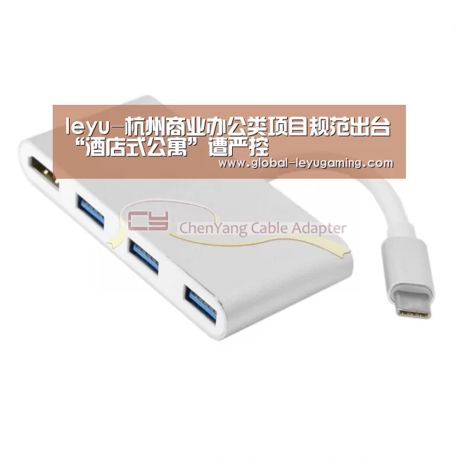 leyu-杭州商业办公类项目规范出台“酒店式公寓”遭严控(图2)