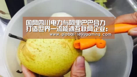 国网四川电力与阿里巴巴合力打造世界一流能源互联网企业:乐鱼体育(图3) 乐鱼官方网站下载
