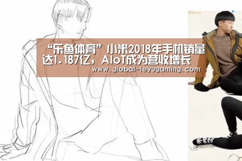 “乐鱼体育”小米2018年手机销量达1.187亿,AIoT成为营收增长引擎(图2) 乐鱼体育