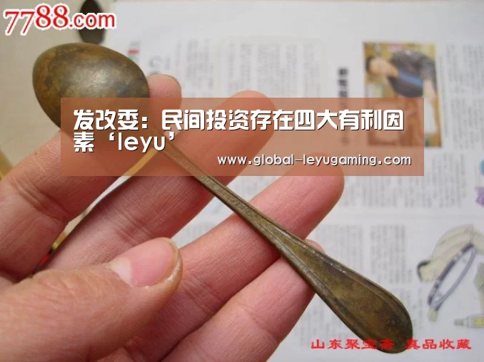 发改委:民间投资存在四大有利因素‘leyu’(图1) 乐鱼体育
