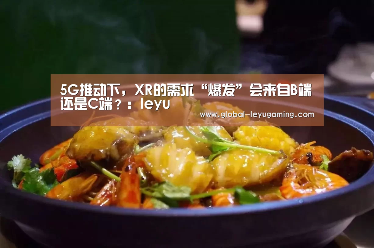 5G推动下,XR的需求“爆发”会来自B端还是C端?:leyu(图2) 乐鱼官方网站下载