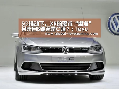 5G推动下,XR的需求“爆发”会来自B端还是C端?:leyu(图3) 乐鱼官方网站下载