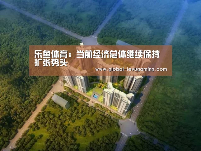 乐鱼体育:当前经济总体继续保持扩张势头(图1) 乐鱼官方网站下载