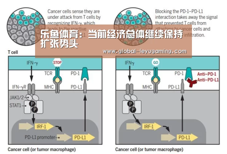 乐鱼体育:当前经济总体继续保持扩张势头(图2) 乐鱼体育