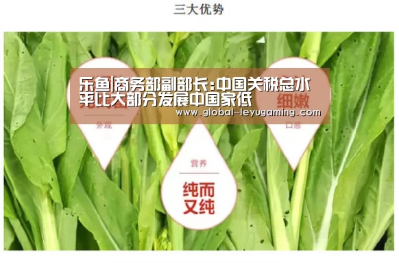 乐鱼|商务部副部长:中国关税总水平比大部分发展中国家低(图3) 乐鱼官方网站下载